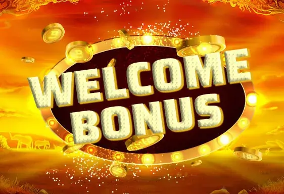 Lapalingo Neukundenbonus